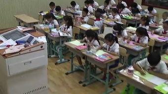 成人课堂古典教学视频