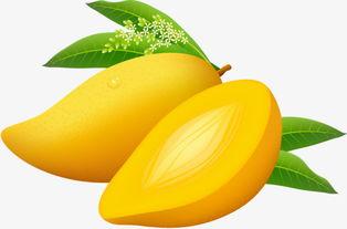 芒果视频色版成人,揭秘虚拟世界中的真实人生体验