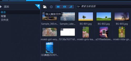 外国视频软件,探索内容创新与传播趋势