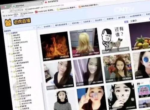 黄色小视频在线观看,在线观看背后的风险与警示