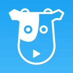 牛牛免费视频,畅享海量精彩内容，轻松解锁娱乐新境界