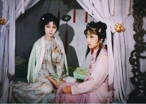 红楼梦视频,穿越时空的梦幻之旅